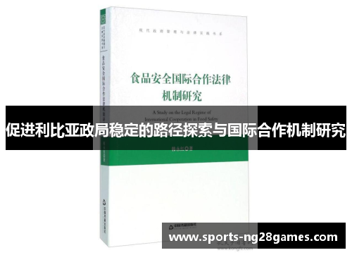 促进利比亚政局稳定的路径探索与国际合作机制研究